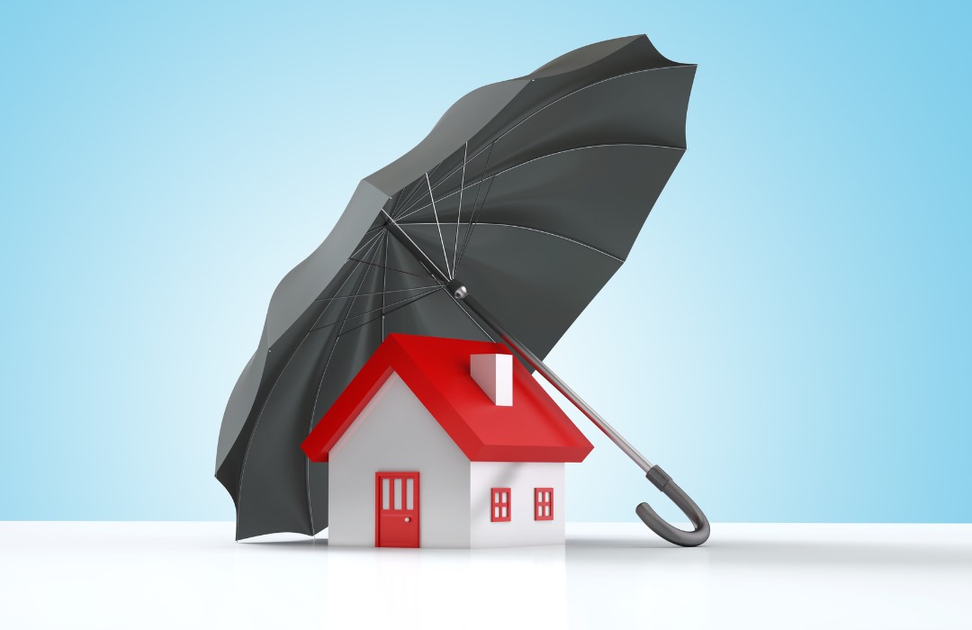 WhatsApp Image 2025-02-05 at 11.22.09